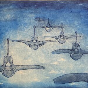 Flygende rygghvirvler