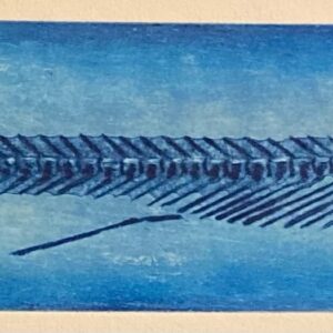 Blått Lepisosteusskjelett